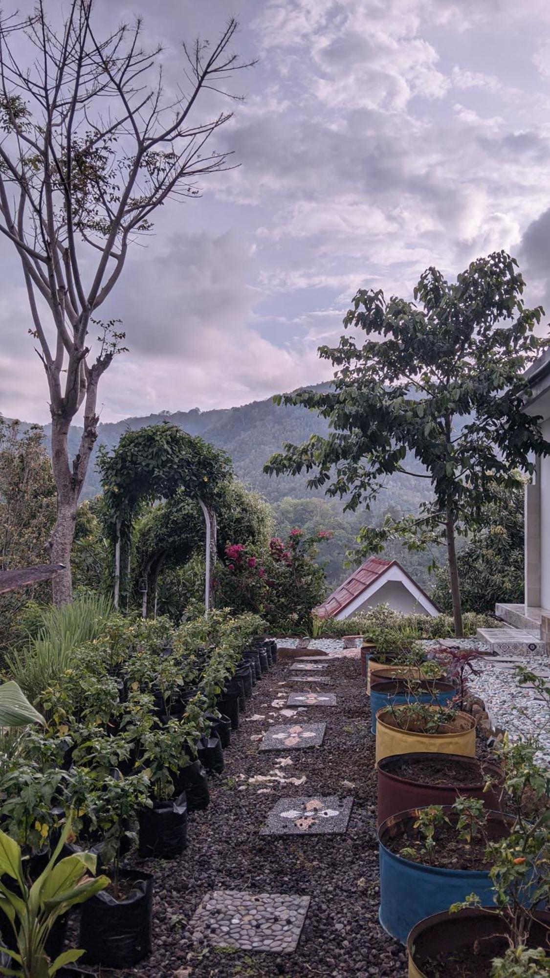 Ling & Louie'S Mountain Mayong Exterior foto